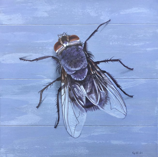 Christine Neuerburg - Stubenfliege III