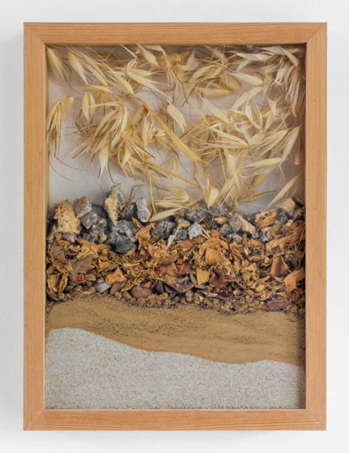 Christine Neuerburg - Südfrankreich