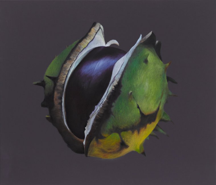 Christine Neuerburg - Kastanie I 