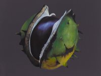 Christine Neuerburg  - Kastanie I 