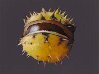 Christine Neuerburg  - Kastanie III