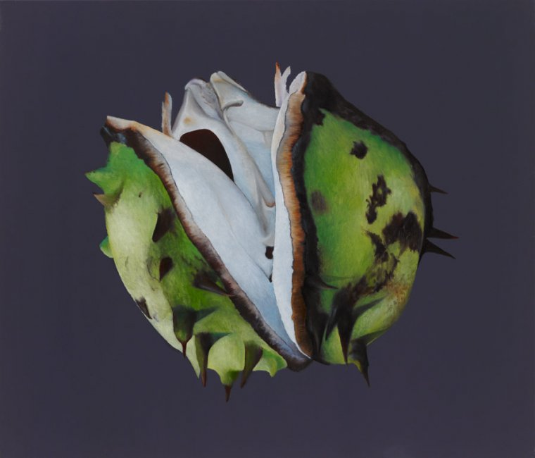 Christine Neuerburg - Kastanie IV