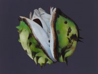 Christine Neuerburg  - Kastanie IV