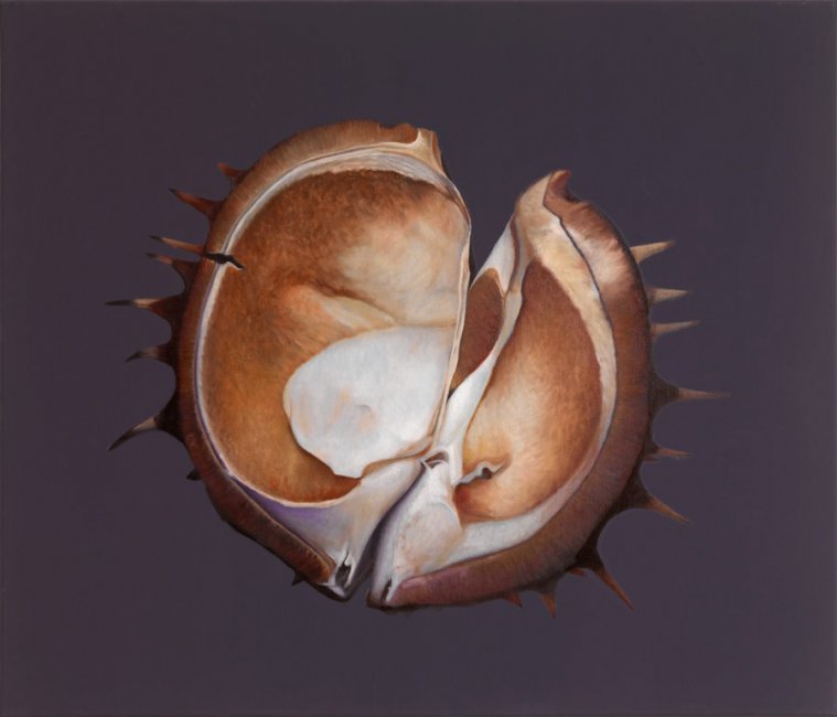 Christine Neuerburg - Kastanie VI 