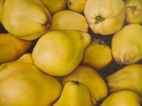 Christine Neuerburg  - Quitten