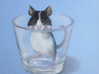 Christine Neuerburg  - Bin ich schön?