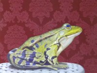 Christine Neuerburg  - Auf dem Sprung ins Glück…